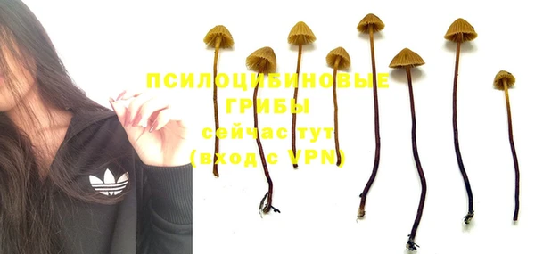 кокаин VHQ Новодвинск